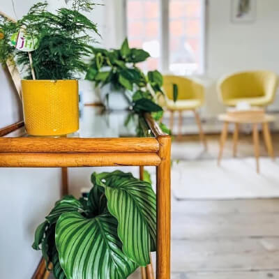 Belis, Matthea Matthea Belis